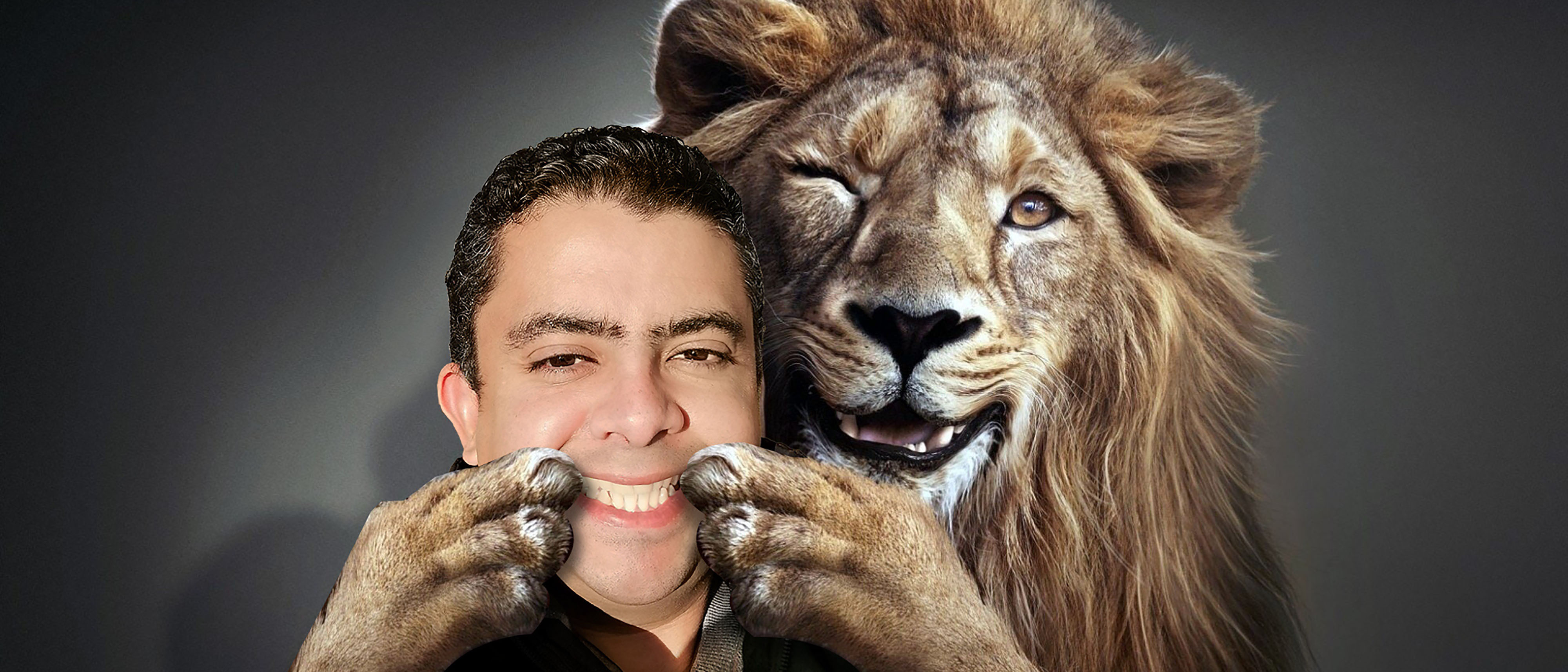 Bild passend zur Quote: Löwe Bildmontage